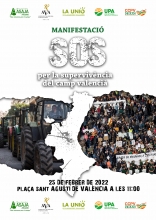 Cartell-manifestació-25F-valencià_ok.jpg
